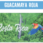 TOALLA  LAPA ROJA COSTA RICA SERIE CR MTB